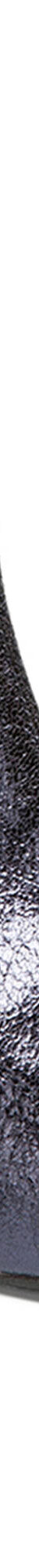 Boots à talon DANIELA (bleu) Boots à talon DANIELA (bleu)